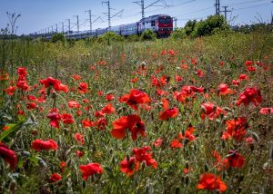 Russian Railways environmental plans 