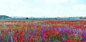 Ankara-Sivas high-speed line 