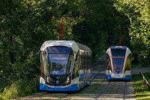 single-section trams 