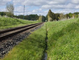 Svendborg Line